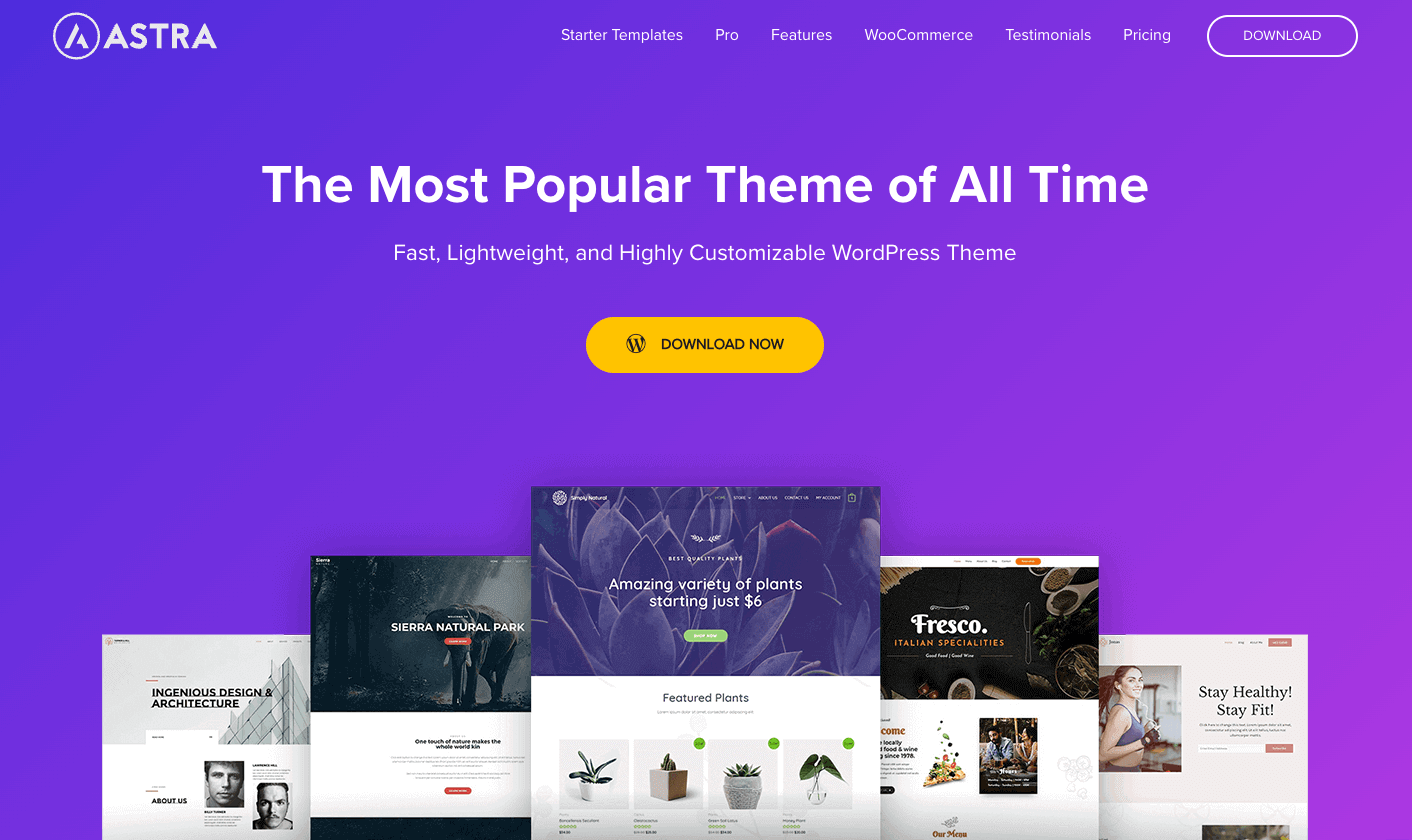 Astra is a lightweight and highly customizable WP theme