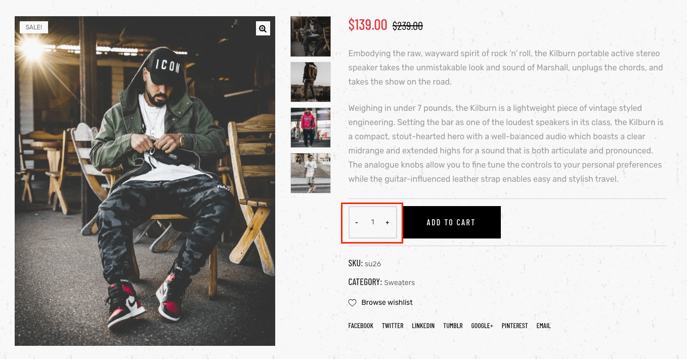 WordPress theme Striz shop page example of a plus/minus button