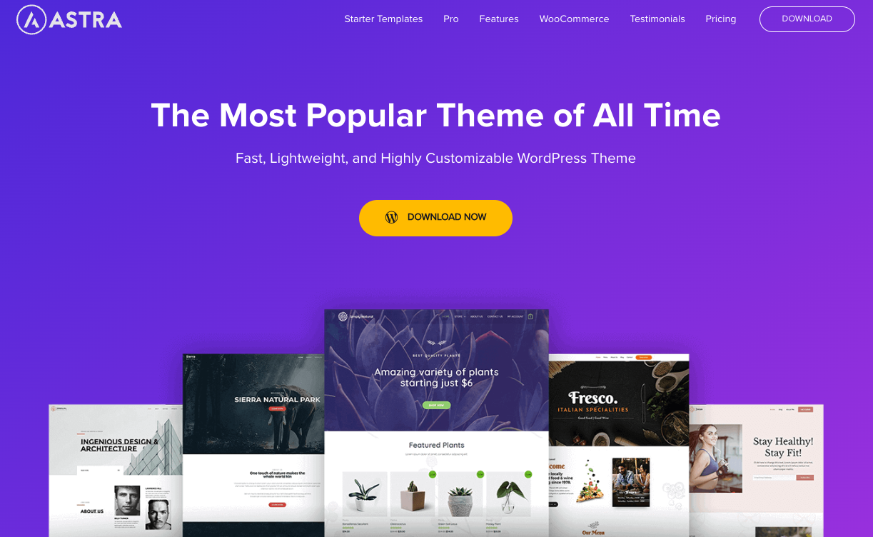 Introduction to Astra, a multi-purpose WordPress theme
