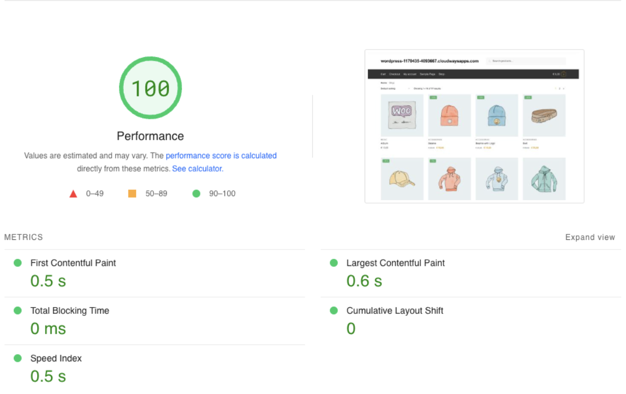 Example of results in PageSpeed Insights