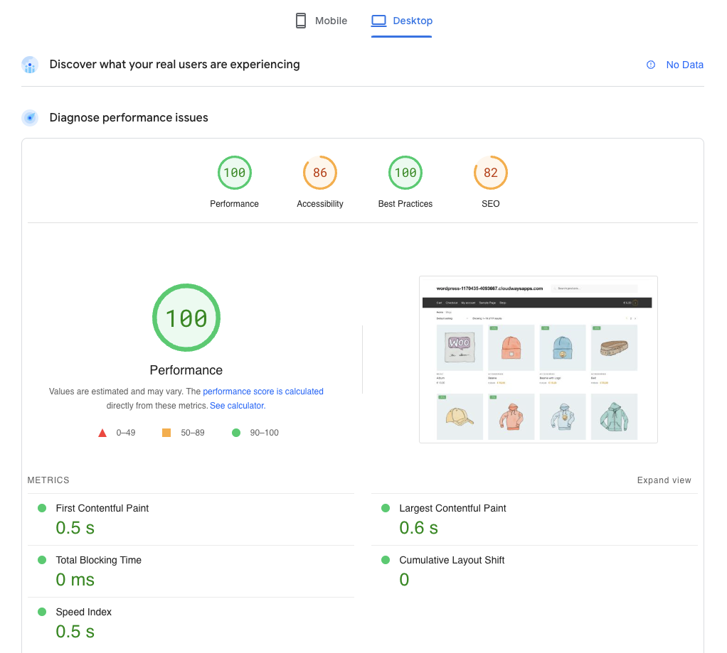 PageSpeed Insights metrics for the WordPress theme Shoptimizer
