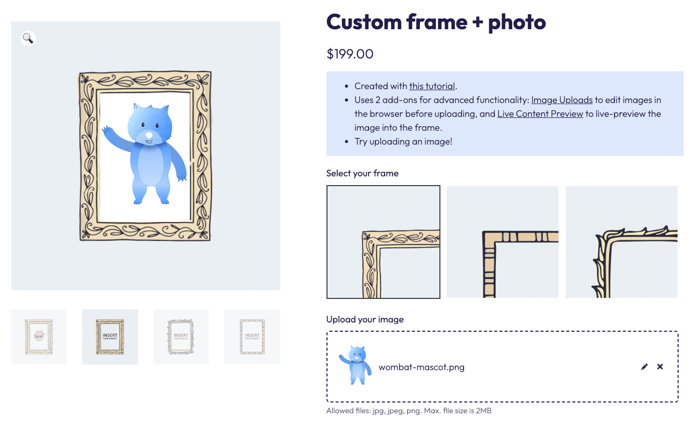 Frame selector visual