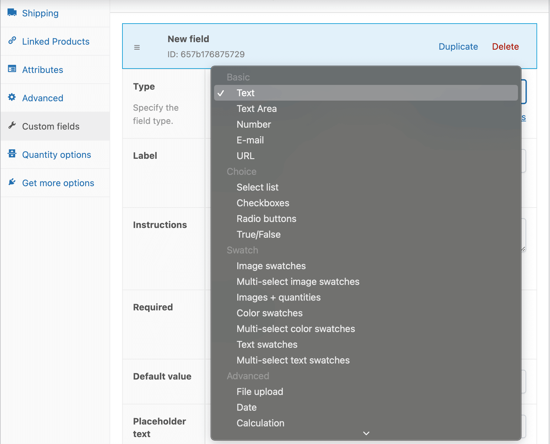 Advanced Product Fields custom fields example