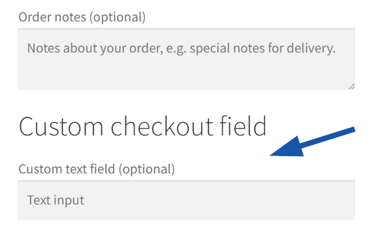 Custom checkout field with text input
