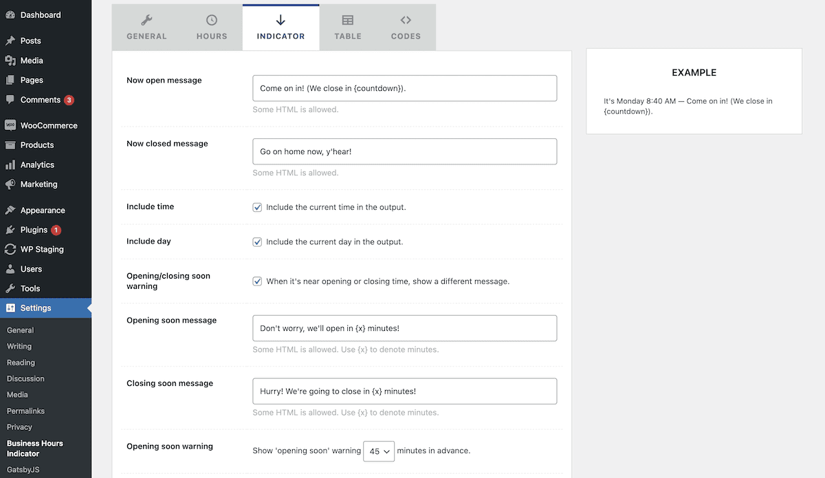 The Business Hours Indicator plugin options.