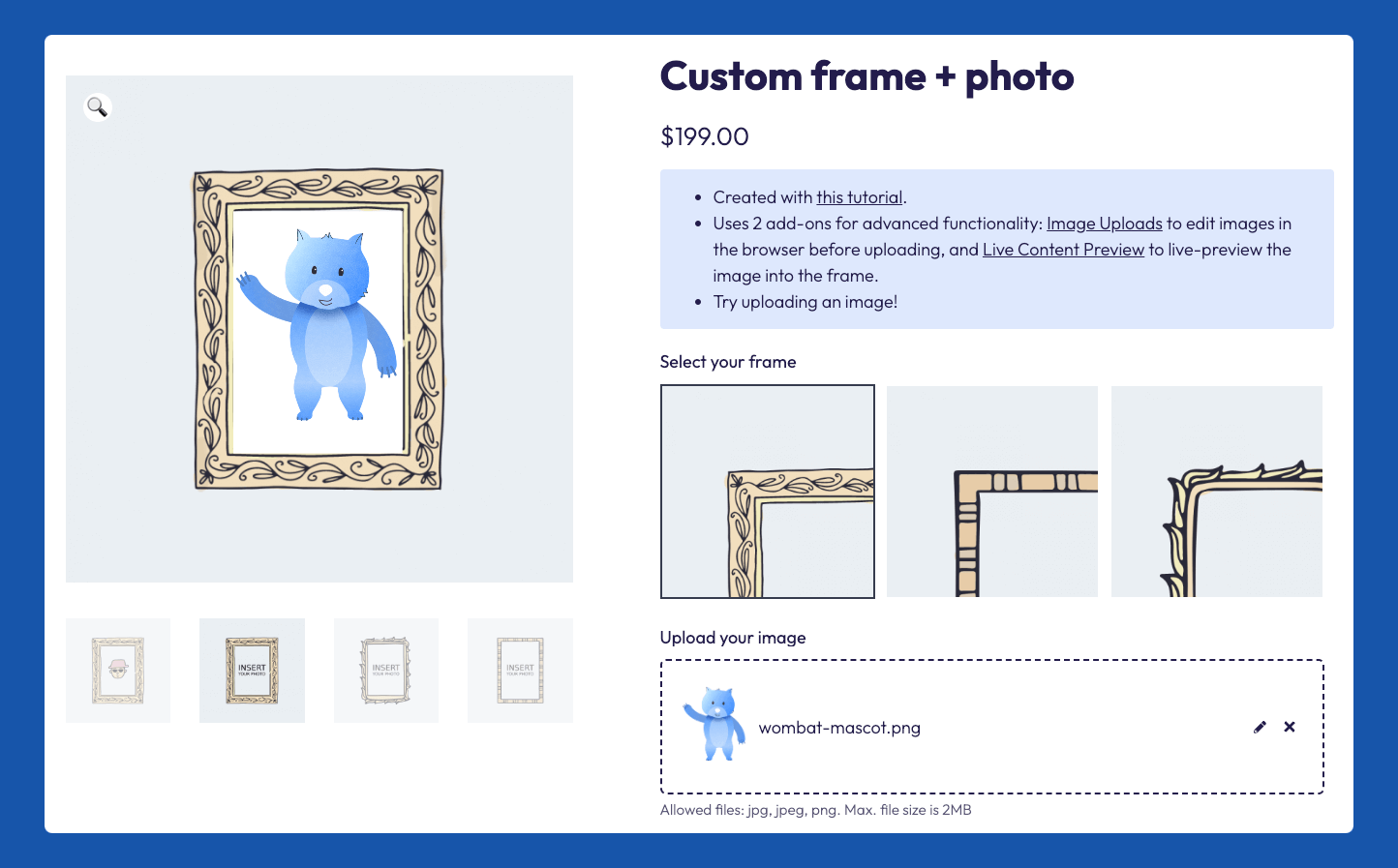 Example of a product with a custom image