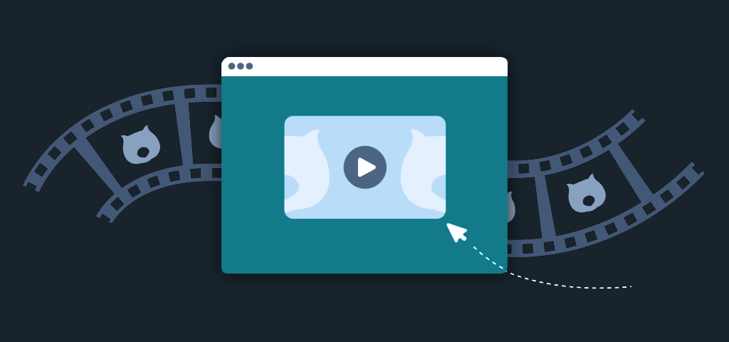 Illustration adding video to Woo product pages