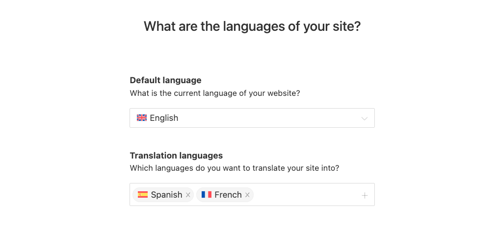 Choosing the default and translation languages for a website