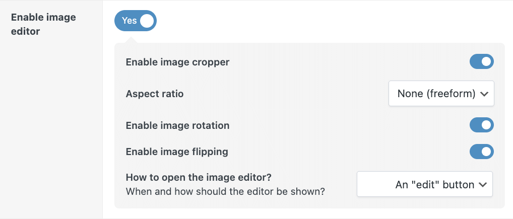 Enable image editor in APF